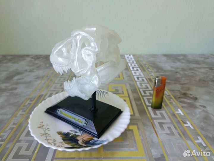Череп Тираннозавра светящаяся, арт, подарок