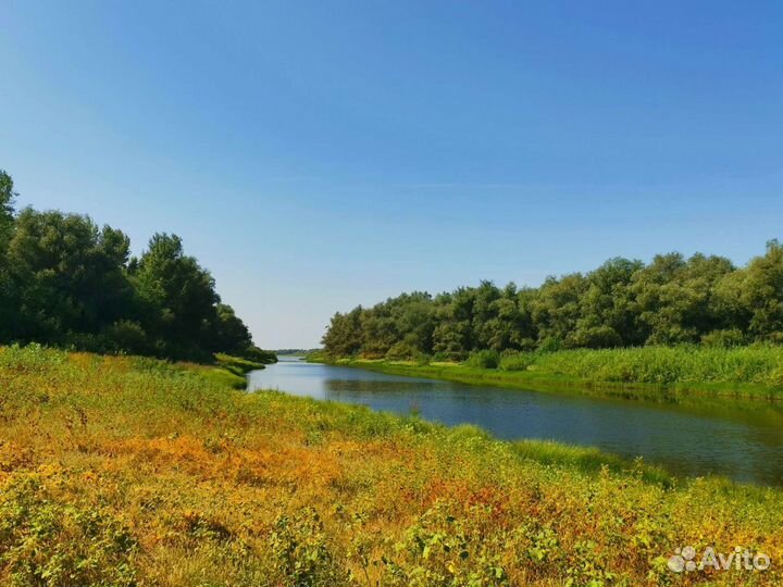 Рыбалка и одых