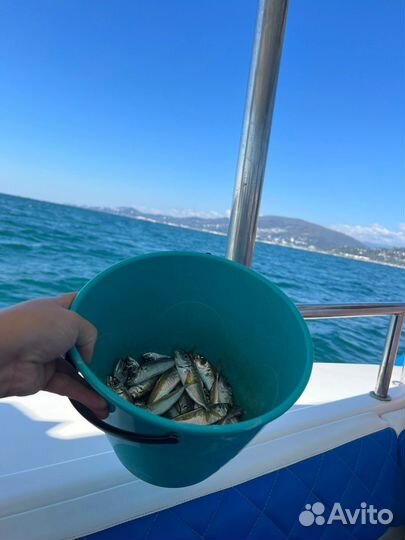 Экскурсия Рыбалка на Черном Море 3 часа