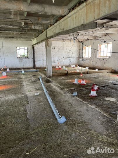 Птицеферма, гусная ферма