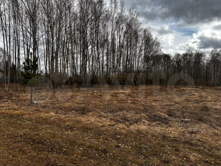 Участок 20 сот. (ИЖС)