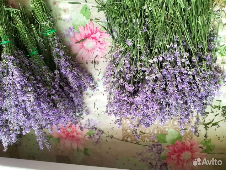Букет лаванды