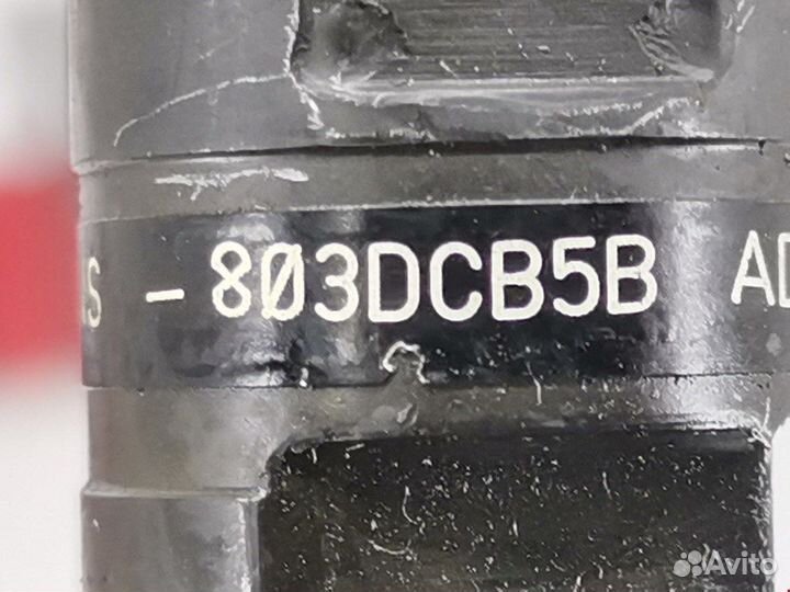 Форсунка для Hyundai-KIA Carnival (Sedona) 1