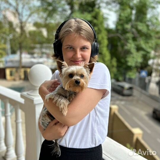 Администратор