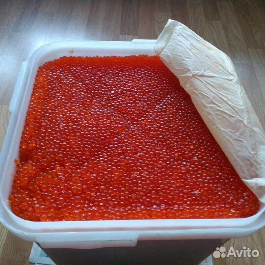Красная Икра Кеты