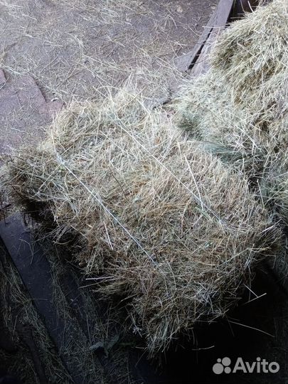 Продам сено разнотравье
