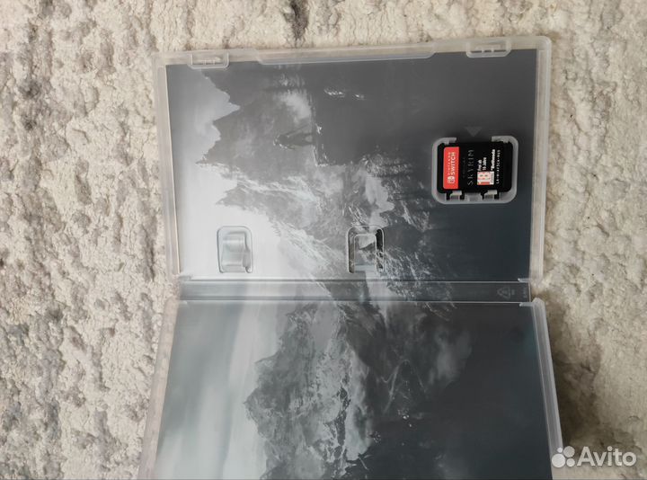 Nintendo switch skyrim