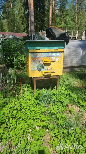 Улей для пчел бу