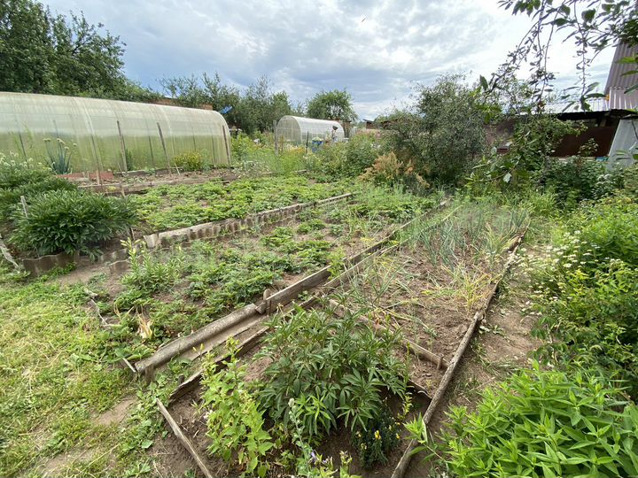 Дача 25 м² на участке 5,5 сот.