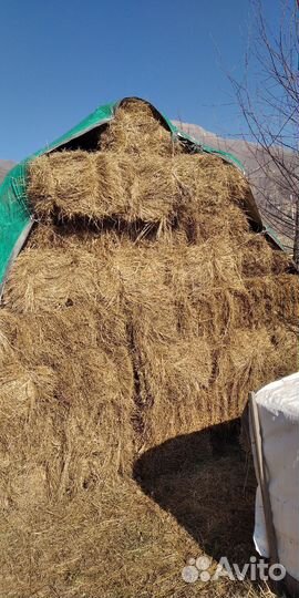 Продам сено в тюках