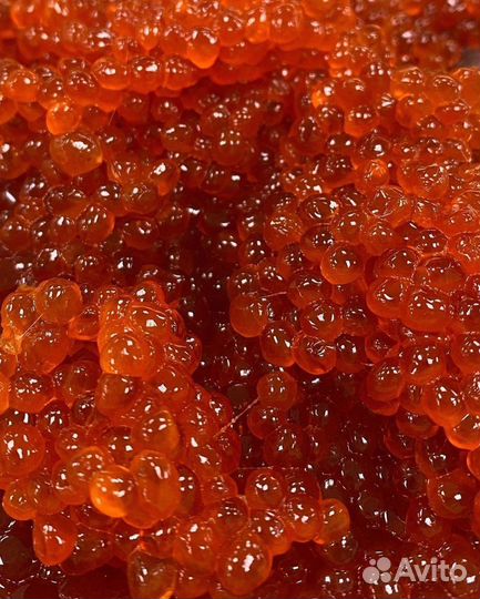 Красная икра Нерки 250 г. свежие поставки