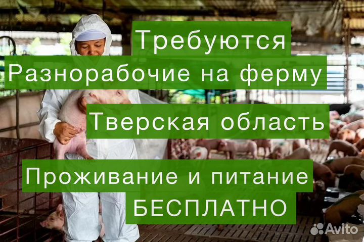 Вахта с проживанием. Разнорабочий на ферму