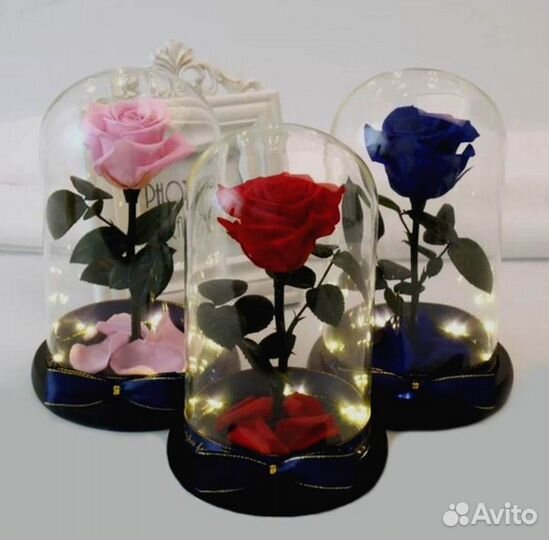 Роза в колбе. Вечная