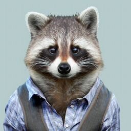 Дмитрий Маслов