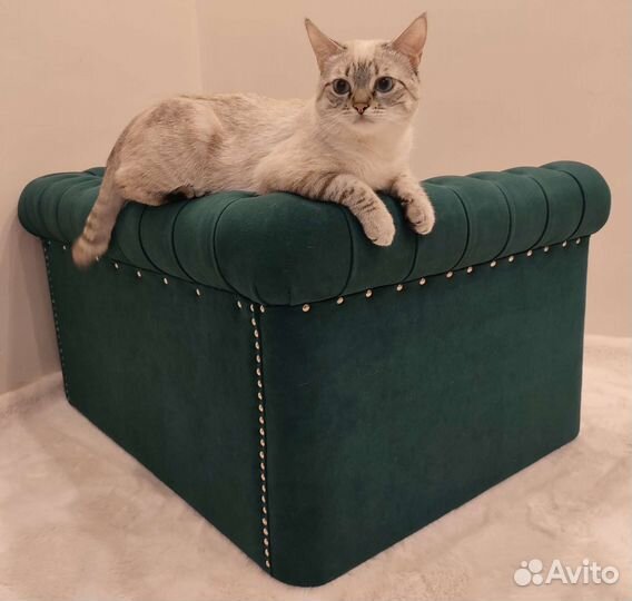 Диван/лежанка Честер изумрудный для животных