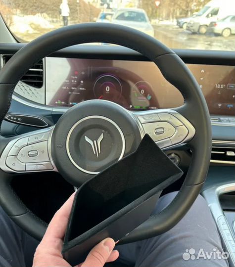 Кармашки в двери Voyah Free черные