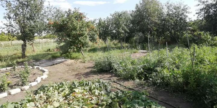 Участок 25 сот. (ИЖС)