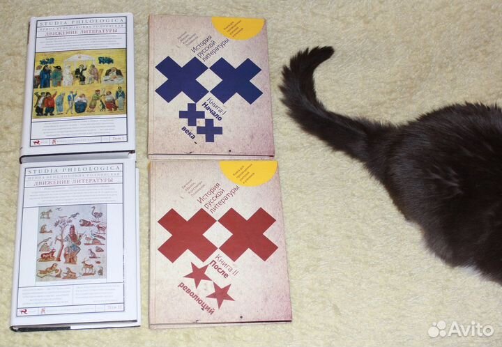 Книги о русских писателях и литературе