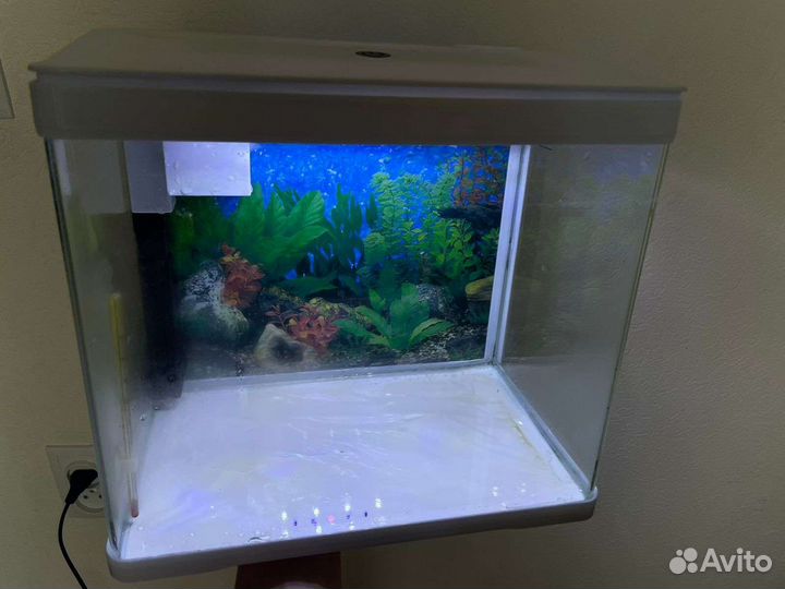 Аквариум для рыбок