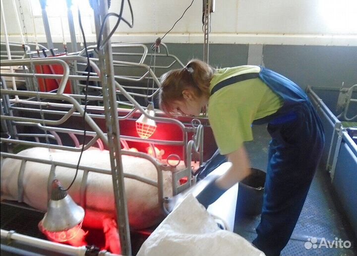 Оператор на ферму