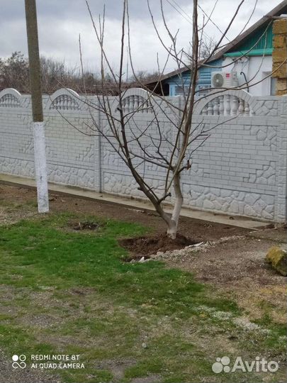 Установка заборов