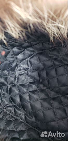 Шапка - ушанка мужская, волк