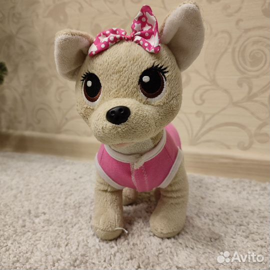 Собачка чичилав