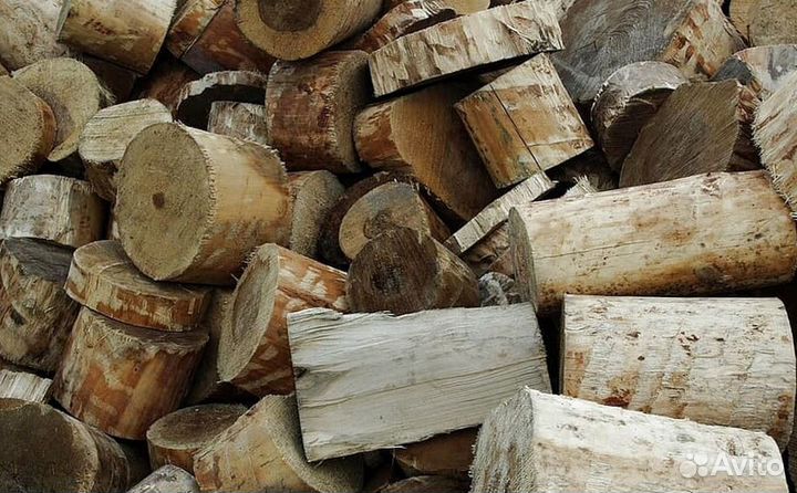 Дрова с Приморска