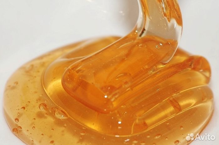 Мёд натуральный из Алтая опт от 16 кг