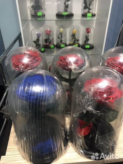 Синяя роза в колбе, подарок на день рождения