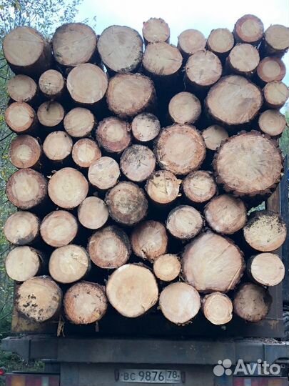 Лес кругляк