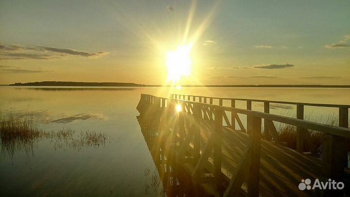 Оздоровительные туры на Медвежье озеро