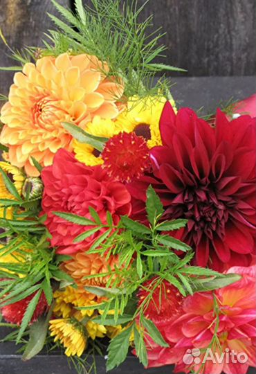 К дню учителя