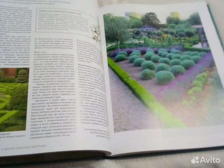 Все о травах и других полезных растениях