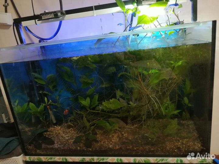 Аквариум 140 литров