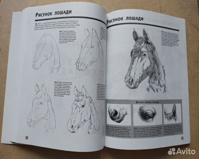 Рисуем животных книга