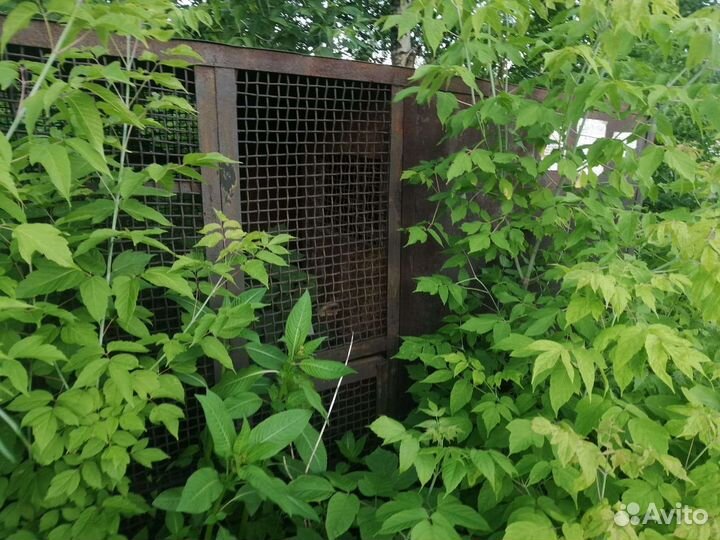 Голубятня продажа