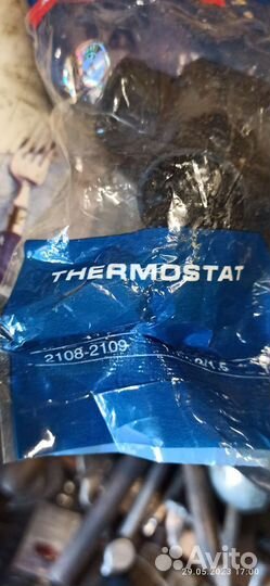 Термостат 2109