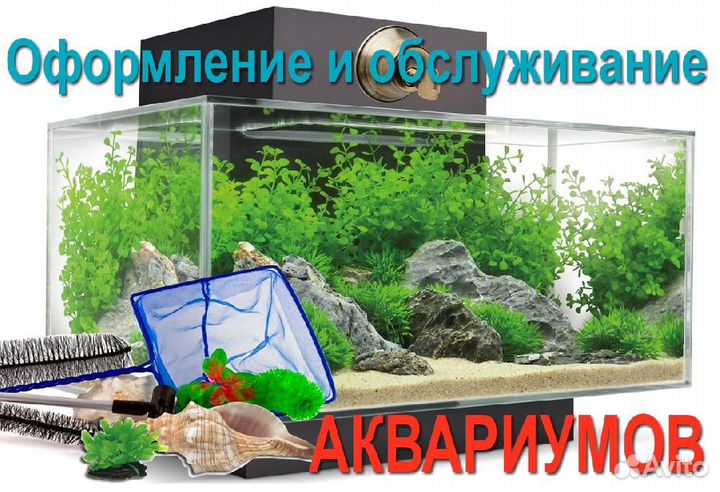 Аквариумист