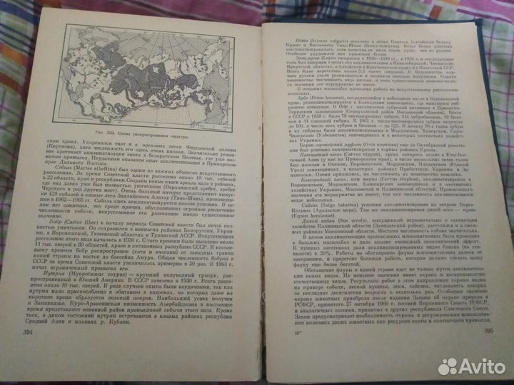 Зоология позвоночных. Наумов