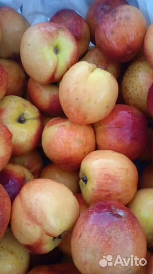 Нектарин на водку Азербайджан