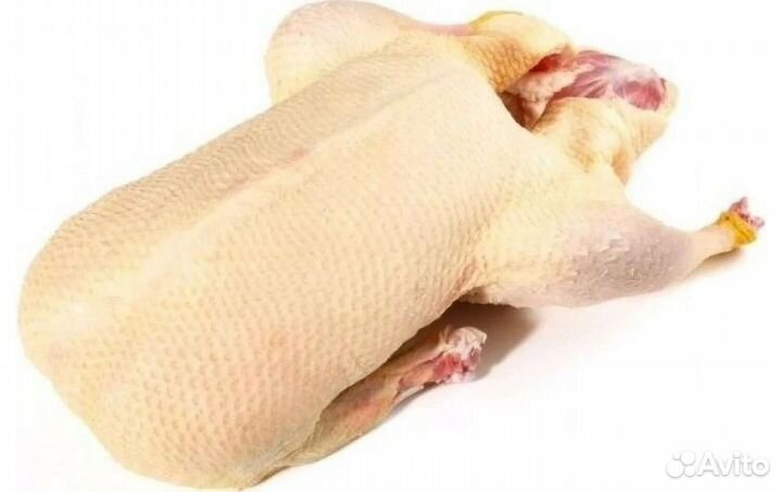 Мясо гуся