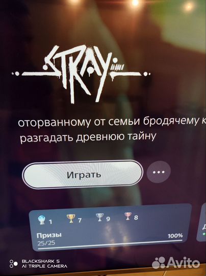 Stray ps5 диск