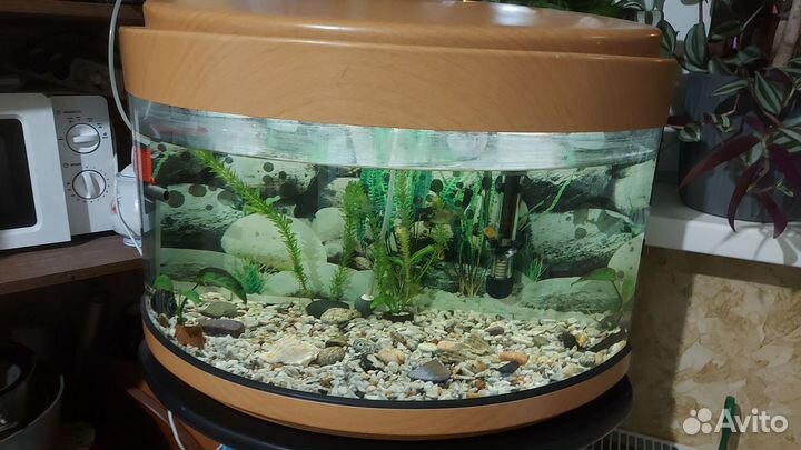 Аквариум
