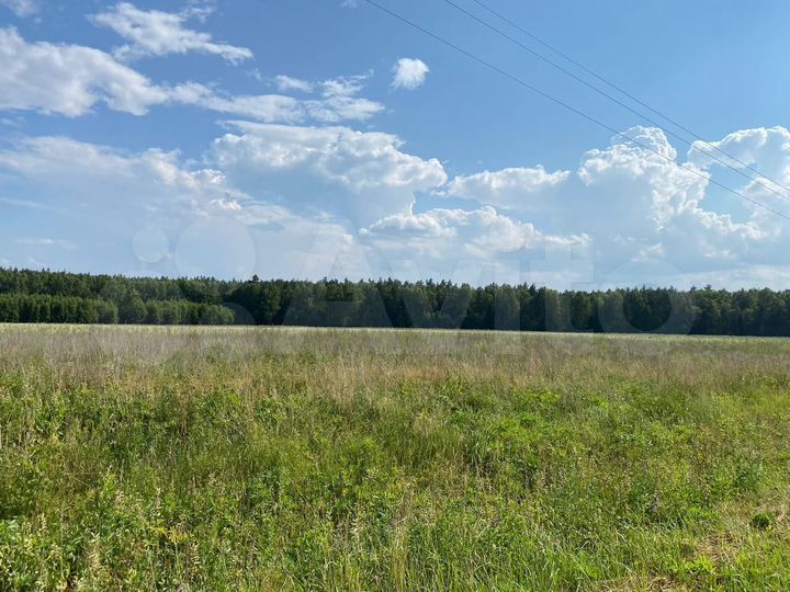 Участок 5 га (СНТ, ДНП)