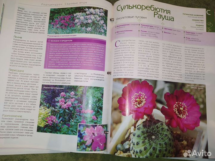 Журналы о цветах