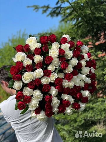 Розы голландские с доставкой 101 шт