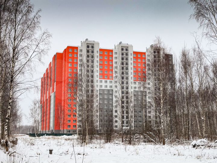 3-к. квартира, 50,6 м², 5/17 эт.