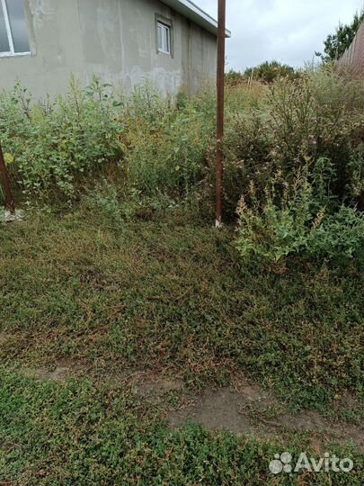 Покос травы, обрезка деревьев и вырубка зарослей