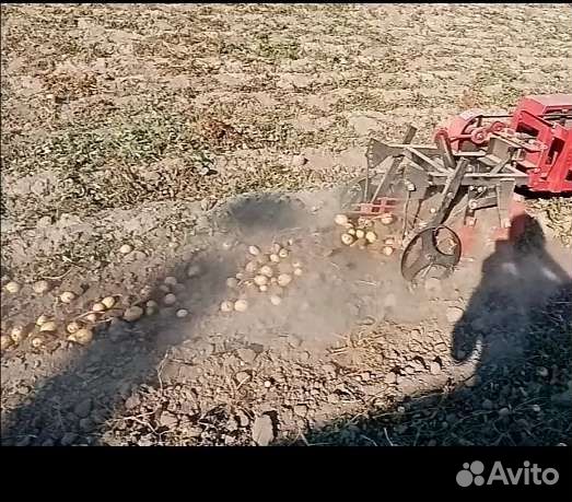 Продам картофель
